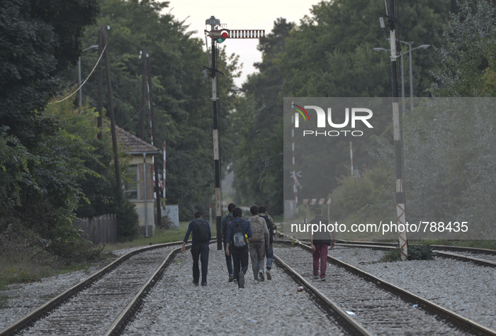 A small group of migrants seen near Palic train station on their way to the border between Serbia and Hungary, in Palic, Serbia, on Septembe...