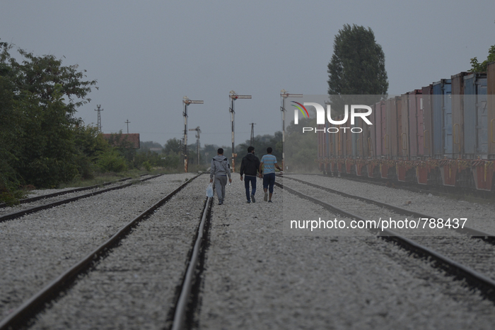 A small group of migrants seen near Palic train station on their way to the border between Serbia and Hungary, in Palic, Serbia, on Septembe...