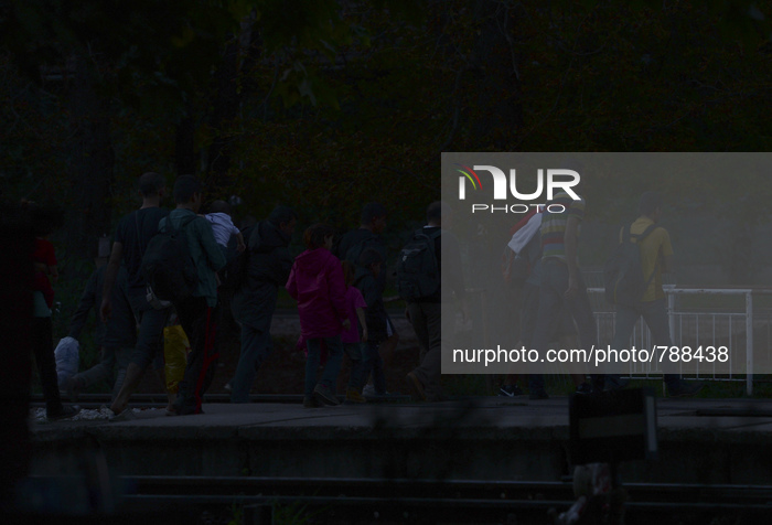 A group of migrants seen near Palic train station on their way to the border between Serbia and Hungary where they plan to pass the border a...