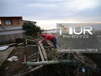 Local resident walks amid of the debris left by the tsunami that ensued an 8.3 quake that left 12 people dead and five more missing, in the...