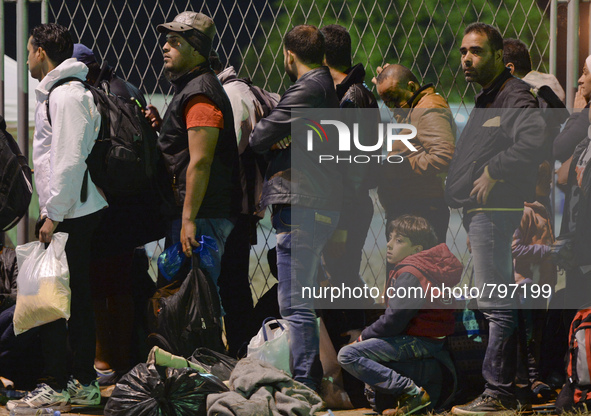Houndreds of migrants awaiting to enter to the transfer camp in Opatovac near the border crossing point between Serbia and Croatia, on Septe...