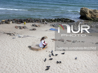 A woman feeds birds at a beach of the city of Odesa, Ukraine on 5 April 2022. (