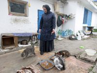 A nun takes care of cats at the Saint Archangel - Michael's women monastery of Odesa, Ukraine on 7 April 2022. The women monastery rescue ca...