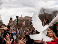 Protesters release a white dove, a symbol of peace, during a rally at the White House for Ukraine.  Hundreds of people gathered to demand th...