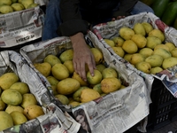 Labours work inside Mango wholesale market shop in Kolkata, India, 18 April, 2022. Mango is a very famous fruit during summer season in Indi...