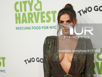 NEW YORK, NEW YORK - APRIL 26: Brooks Nader attends the City Harvest Presents The 2022 Gala: Red Supper Club at Cipriani 42nd Street on Apri...