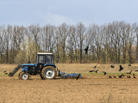 Tractor works on a field close to Kolychivka village, Chernihiv area, April 27, 2022. (
