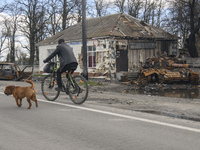 Local man ride bike near Destroyed tank in Kolychivka village, Chernihiv area, April 27, 2022. (