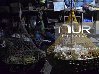 A chicken whole seller sleeps in a chicken wholesale market in Kolkata, India, 04 May, 2022. The market price of a chicken increased to Rs 1...