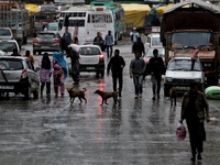 People walk as Dogs cross during rainfall in Baramulla, Jammu and Kashmir, India on 06 May 2022 (