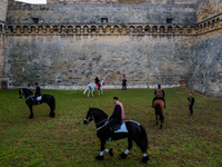 Appearing on the horse before the departure of the Historical Parade of San Nicola in Bari at the Swabian Castle on 7 May 2022.
The three d...