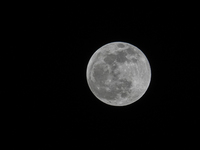 The full Flower Moon before the start of the lunar eclipse on Sunday, May 15, 2022 in North Port, Florida. (