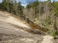 General view of the Balta Kapa sand dune is seen in Saulkrasti , Latvia on 4 May 2022 Balta Kapa the The White Dune is a steep bank in Saulk...