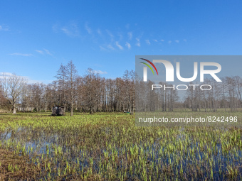 General view of the Engure lake Natural Park is seen in Tukums district , Latvia on 30 April 2022 (