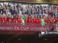 Liverpool's Jordan Henderson left the FA Cup after  FA Cup Final between Chelsea and Liverpool at Wembley Stadium , London, UK 14th May , 20...