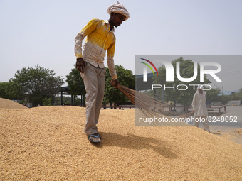A labourer uses a broom to separate grains of paddy rice from the husk at a wholesale grain market near Sonipat, on the outskirts of New Del...