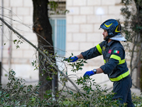 The fire brigade (Vigili del Fuoco), during operations to secure a crumbling tree near a middle school. In Rieti, Italy, on 23 May 2022.  (