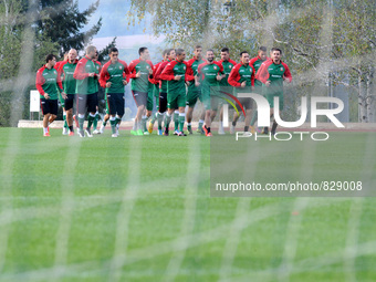 Bulgarian national soccer team made a few drills on the training base in the town of Pravets, some 55 km from Sofia on October 05.2015, befo...