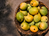 India is the largest producer of mango in the world and accounts for around 50 per cent of the global mango output. Unusually high temperatu...