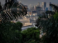 A mixture of public and private Singapore homes is seen from Mount Faber Nature Reserve in an area planned to be the Greater Southern Waterf...