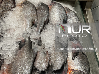 Pirana fish displayed at the upscale LuLu Hypermarket located in the Lulu International Shopping Mall in Thiruvananthapuram (Trivandrum), Ke...