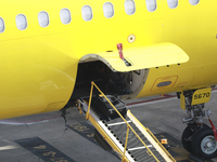A man loads checked luggage into a Spirit Airlines plane at George Bush Intercontinental Airpot in Houston, Texas on June 13th, 2022.  (