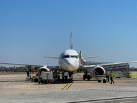 A Ryanair Boeing 737-800 landed in Brindisi, Italy, on June 14, 2022. (