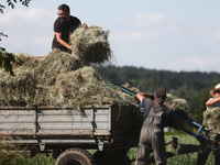 People collect hay in Krzywaczka, Poland on June 15, 2022. (