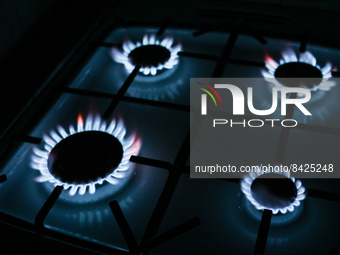 Natural gas burners on a natural-gas-burning stove.
On Friday, June 17, 2022, in Rzeszow, Podkarpackie Voivodeship, Poland. (