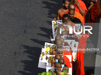 Sri Lankan university Buddhist monks march forward in protest demanding the government to step down in Colombo, Sri Lanka, on  June  20, 202...