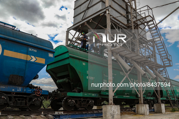 ODESA REGION, UKRAINE - JUNE 22, 2022 - Grain is being loaded into a hopper car, Odesa Region, southern Ukraine. This photo cannot be distri...