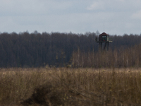 Border guard tower is seeing on the Ukrainian-Russian border (Photo by Sergii Kharchenko/NurPhoto)