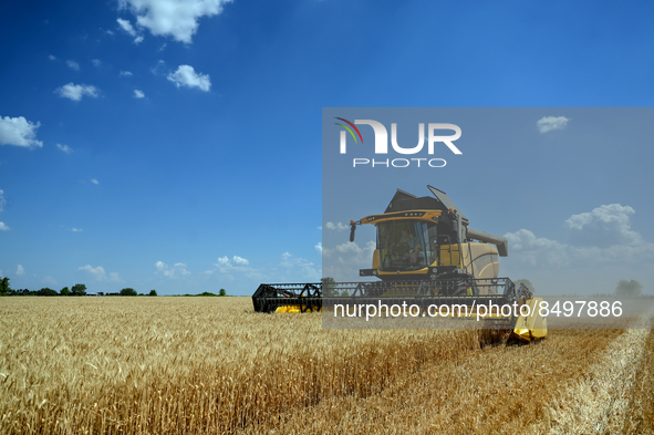 ZAPORIZHZHIA REGION, UKRAINE - JULY 05, 2022 - A harvester  is seen in the field during the grain harvesting. Due to the ongoing hostilities...