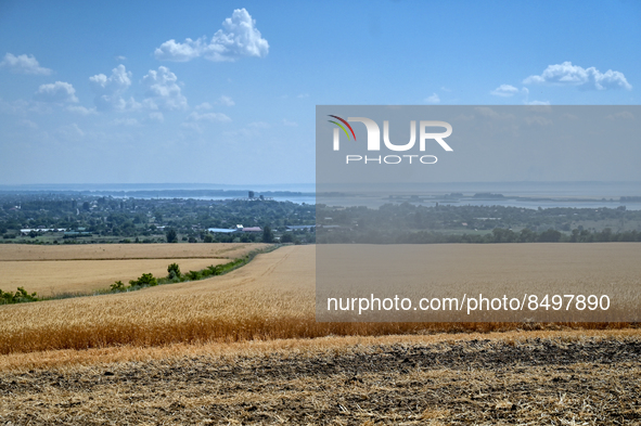 ZAPORIZHZHIA REGION, UKRAINE - JULY 05, 2022 - Due to the ongoing hostilities, grains are harvested only on the territory of the Zaporizhzhi...