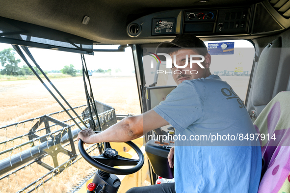 ZAPORIZHZHIA REGION, UKRAINE - JULY 05, 2022 - A harvester operator works in the field during the grain harvesting. Due to the ongoing hosti...