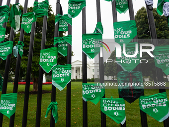 Green scarves hang on the White House fence following  a civil disobedience action for reproductive rights.  The Women's March organized the...