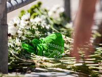 A mourner places a flower at the foot of the Supreme Court during NextGen America's memorial service for those who will die as a result of t...