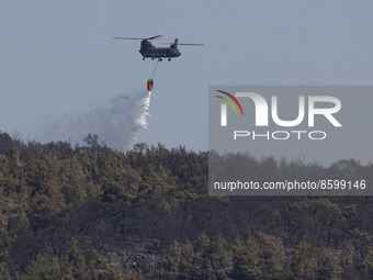Wildfires in Greece as a heatwave is going on.A Boeing CH-47 Chinook helicopter of the Hellenic Army dropping water over the fire.  Dadia Na...