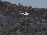 Mil Mi-8 firefighting helicopter with a water basket as seen in Dadia forest. Wildfires in Greece as a heatwave is going on. Dadia National...