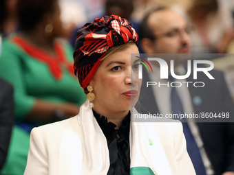 Minister of Algerian Culture Soraya Mouloudji, during the opening of the work of the international conference on the activism of Algerian wo...