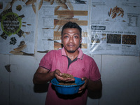 Ilham (29  years) show maggot from kitchen waste and organic waste in Siliragung village, Banyuwangi, East Java, Indonesia, on August 1, 202...