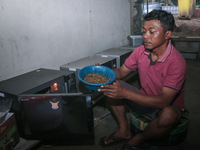 
Ilham (29 years) dried maggot from kitchen waste and organic waste in Siliragung village, Banyuwangi, East Java, Indonesia, on August 1, 2...