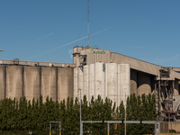 Euro silo's terminals with a total of 1,300 meters in quay length handle incoming and outgoing grain, oilseeds and derivatives cargos. the h...
