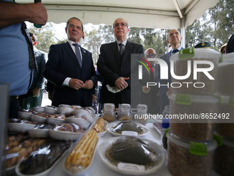 Algerian Prime Minister, Ayman Ben Abderrahmane (C), during the inauguration of the National Seed Bank, at the National Center for the Contr...