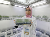 Inauguration of the National Seed Bank (NCC), at the National Center for Control and Certification of Seeds and Plants, in Algiers, Algeria...