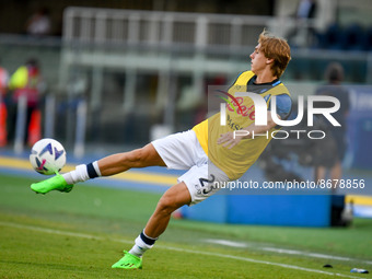 Napoli's Alessio Zerbin portrait in action during the italian soccer Serie A match Hellas Verona FC vs SSC Napoli on August 15, 2022 at the...