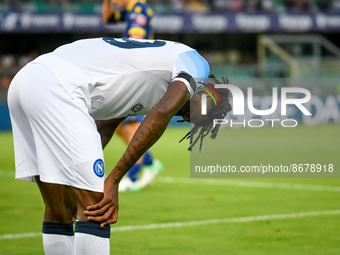 Napoli's Andre' Zambo Anguissa portrait during the italian soccer Serie A match Hellas Verona FC vs SSC Napoli on August 15, 2022 at the Mar...