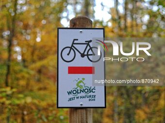 Gdansk, Poland 26th, October 2015
Forest bike line in Otomin near Gdansk on the sunny autumn evening. The leaves on the trees yellowed as a...