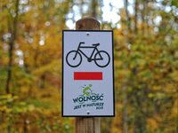 Gdansk, Poland 26th, October 2015
Forest bike line in Otomin near Gdansk on the sunny autumn evening. The leaves on the trees yellowed as a...