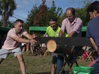 Participants in the cutting of logs with a tracer, a kind of saw that is handled by two people, wins the couple that spends the least time c...